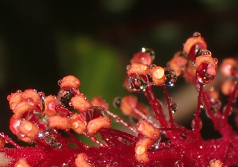 P1033530b.jpg